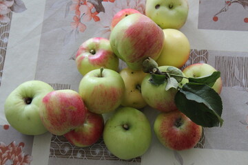 apples