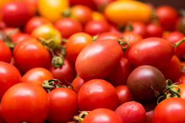 We see a tray of tomatoes that has been collected. Photo can be used as background.