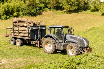 Obraz premium Tractor with a trailer carries firewood through the green field.