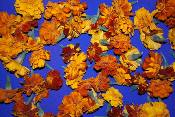 a bouquet of bright orange flowers, marigolds.