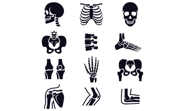  Human Joints Icons Set vector design 
