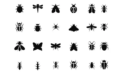 Foto op Plexiglas insect icons vector design  © perstige 