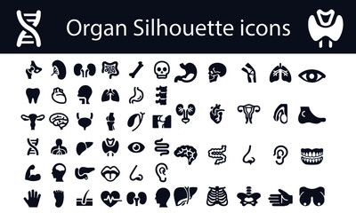 organ silhouette icons vector design black and white
