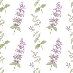 Seamless pattern with balm lemon on a white background. Cute herbal design for wallpapers, home decor and gift wrap. Watercolor botanical illustration. 