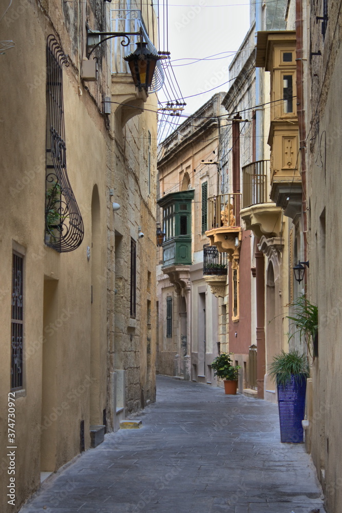 Sticker cityscape of the city of mdina, malta