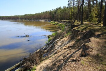 Erosion of bank of the Bug river, Mazovia, Poland - obrazy, fototapety, plakaty