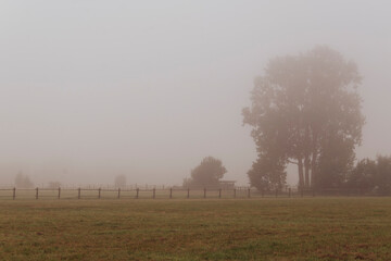 Dämmerung am Morgen mit etwas Nebel im Bruch von Bünde, eine Flußniederung, Tal des Flusses Else