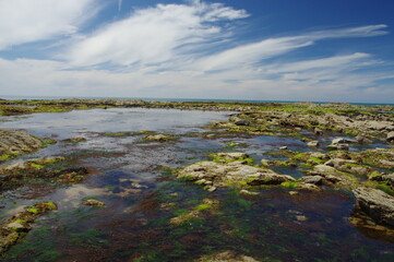plage de l'herbaudière