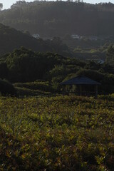 Beach in Galicia in a sunny day. Spain