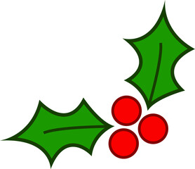 Christmas holly  berry leaf illustration on white background