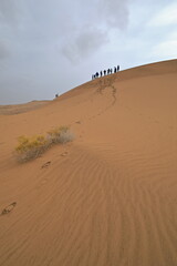 Fototapeta na wymiar Tourists atop a moving sand dune-Badain Jaran Desert-Alxa Plateau-Inner Mongolia-China-1028
