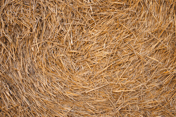 Dry hay bale as agricultural background