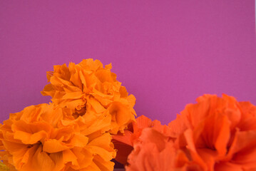 Orange flowers made out crepe paper, used in the festivity of dia de los muertos in Latin America
