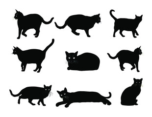 Group of many black cats vector illustration isolated on white background. Cat family. Lovely friendly pets.