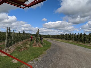 road to the sky