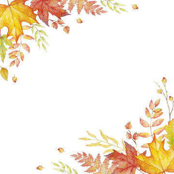 Herbal mix vector frame. Watercolor painted plants, branches and leaves on white background.