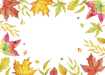 Herbal mix vector frame. Watercolor painted plants, branches and leaves on white background.