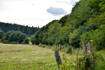 mountain landscape with wooden fence