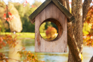 Wooden bird feeder hanging on a tree in autumn park. Blurred landscape background.