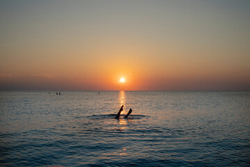 Fototapeta premium a girl bathing in the sea at sunset