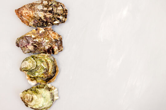 Top view closed oysters on grey table