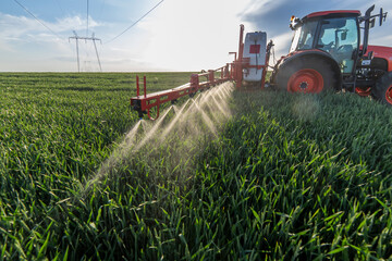 Tractor spraying wheat in field