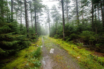 Obraz premium Hunter Mountain