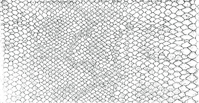 Snakeskin pattern imitation. Lines and spots structural texture. Cool and artsy faux leather background. Abstract vector illustration. Black isolated on white. EPS10