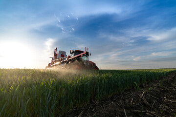 Obraz premium Tractor spraying wheat in field