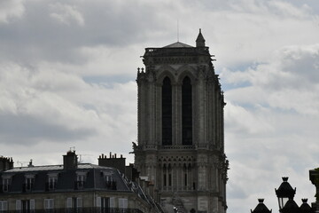 Notre Dame de Paris, Reconstruction after the fire, Notre Dame de Paris, Reconstruccion despues del incendio
