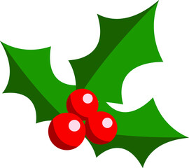 Christmas holly  berry leaf illustration on white background