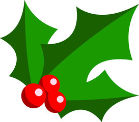 Christmas holly  berry leaf illustration on white background