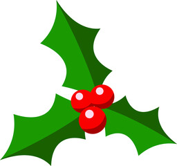 Christmas holly  berry leaf illustration on white background