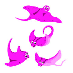 set vector drawing of sea pink stingray a on white isolated background, flat design. Cartoon, children's, marine for decoration, decoration, invitations, printing on fabric