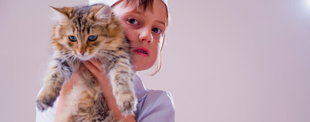 Young female veterinarian medical doctor with beautiful cat. Love to the pets  and animal concept.