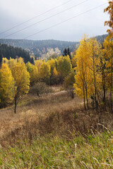 Autumn landscape with view to gold colored trees in the valley