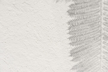 Tropical leaves natural shadow overlay on white texture background, for overlay on product presentation, backdrop and mockup, summer seasonal concept