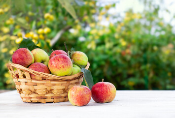 Harvest of bright, fresh, pink apples in  straw decorative basket on white wooden table