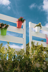 Colored flowers in metallic colored vases hanging from a white fence with a blue sky in the background. Summer atmosphere in the garden. View from below, vertical cut.