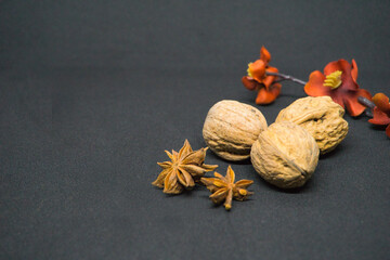 Anis, nueces y flores en otoño.