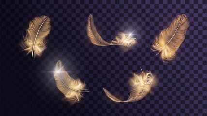 Set of different vector golden feathers on a transparent background © lidiia