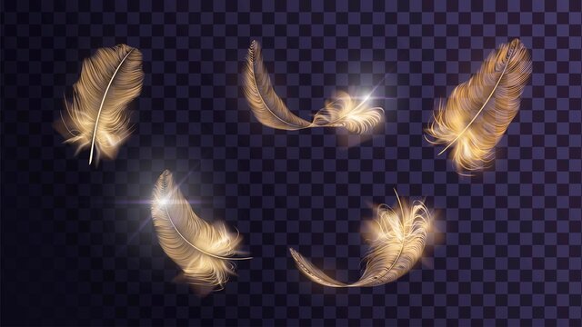 Set of different vector golden feathers on a transparent background