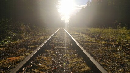 Train rails leading to the sun, in the forest