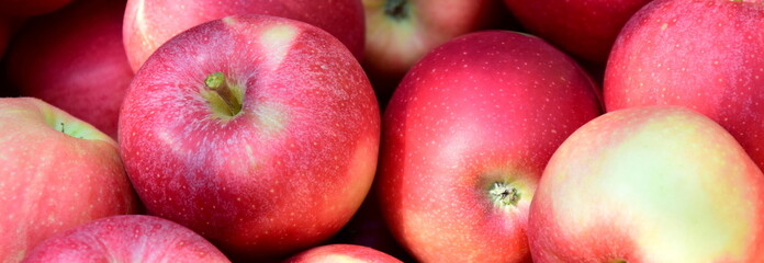 Rote reife geerntete Äpfel als Hintergrund und Textur im Sonnenlicht in einer Obstkiste