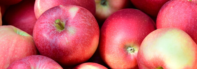 Rote reife gepflückte Äpfel als Hintergrund und Textur