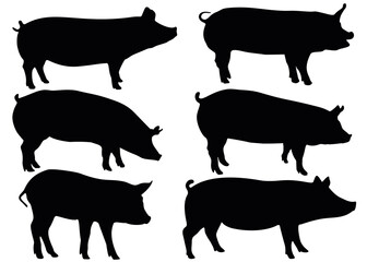 Pig and boars in the set.