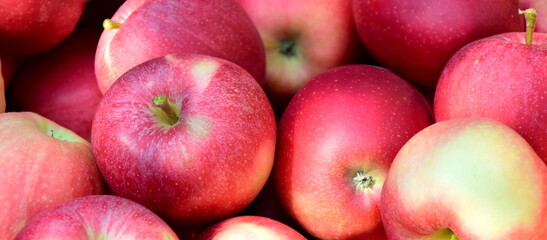 Rote reife geerntete Äpfel als Hintergrund und Textur im Sonnenlicht in einer Obstkiste