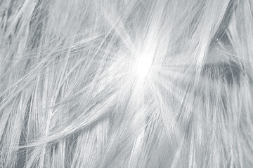 Gray shiny hair as background. Sun flare