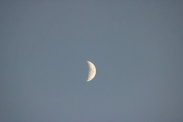 Half Moon Over the Pacific