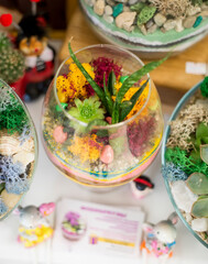 .Decorative composition of a variety of succulents in a Glass florarium
